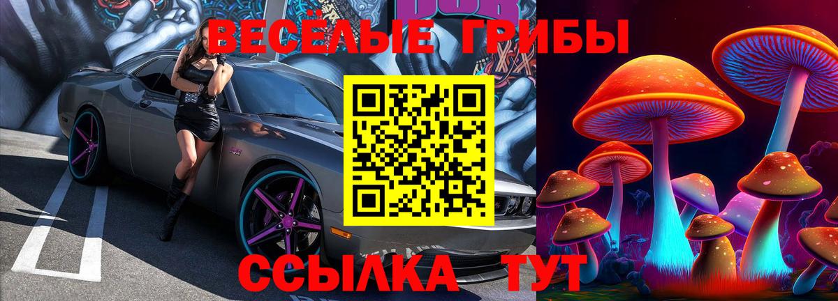 Галлюциногенные грибы GOLDEN TEACHER  Вход с VPN  Старая Купавна 